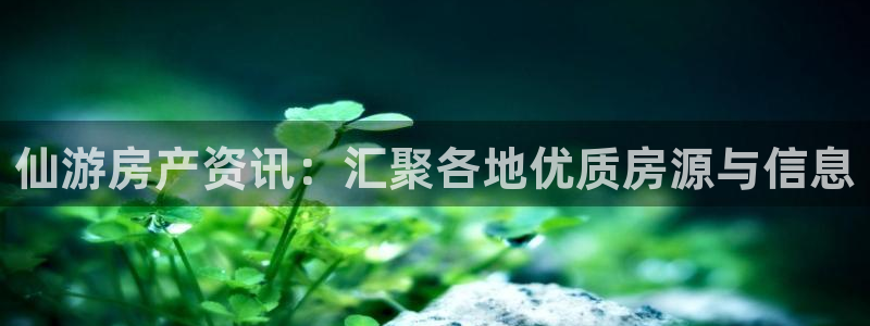 新宝5娱乐主管：仙游房产资讯：汇聚各地优质房源与信息