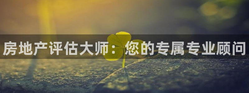 新宝5注册链接：房地产评估大师：您的专属专业顾问
