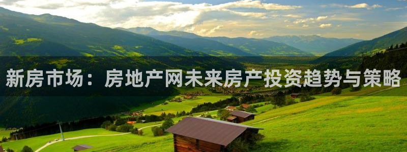 新宝5湫333 00：新房市场：房地产网未来房产投资趋势与策