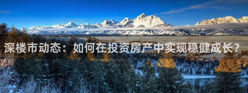 新宝5平台登录：深楼市动态：如何在投资房产中实现稳健成长？