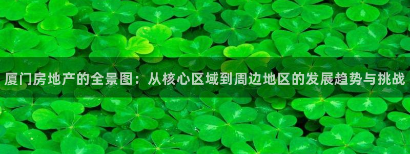 新宝5app手机下载：厦门房地产的全景图：从核心区域到周边地