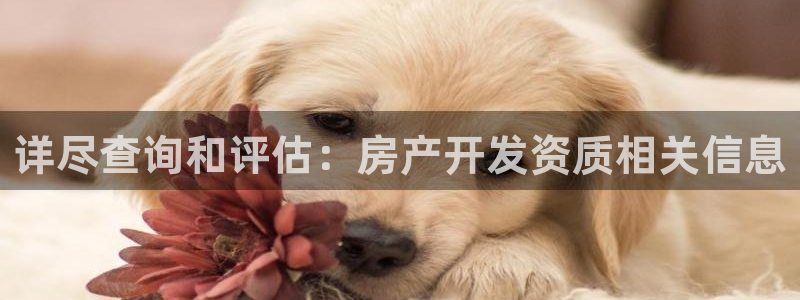 新宝5手机登陆：详尽查询和评估：房产开发资质相关信息