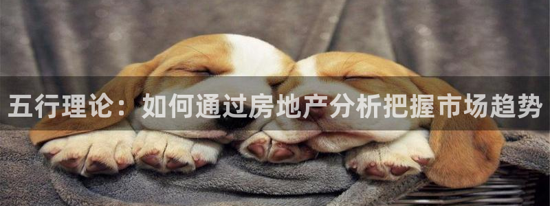 新宝5如何下载：五行理论：如何通过房地产分析把握市场趋势