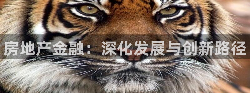 新宝5手机测速：房地产金融：深化发展与创新路径