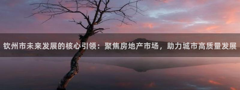 新宝rc_5w：钦州市未来发展的核心引领：聚焦房地产市场，助