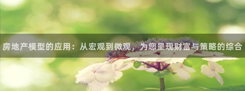 新宝5口67五壹叁八：房地产模型的应用：从宏观到微观，为您呈