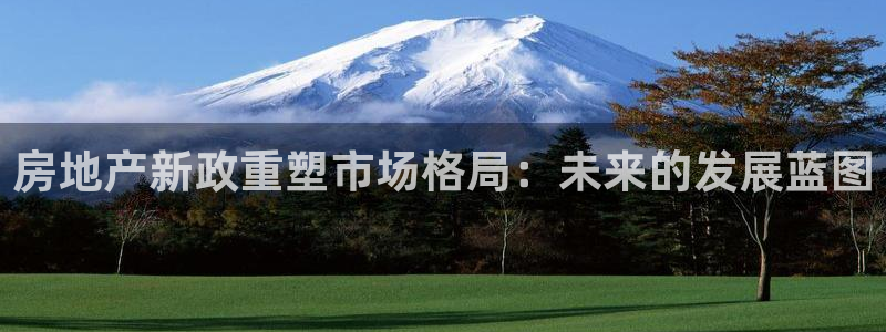 新宝5测速：房地产新政重塑市场格局：未来的发展蓝图
