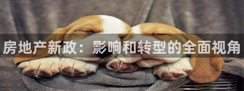 新宝5手机登录：房地产新政：影响和转型的全面视角