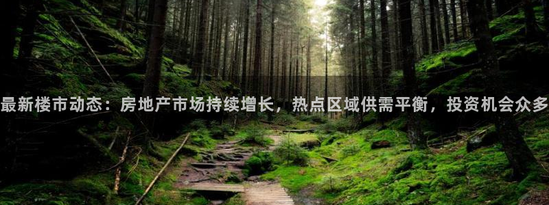 新宝5娱乐代理：最新楼市动态：房地产市场持续增长，热点区域供