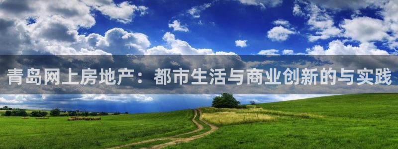 新宝股东瞧听2 5 5：青岛网上房地产：都市生活与商业创新的