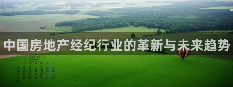 新宝5玩法：中国房地产经纪行业的革新与未来趋势