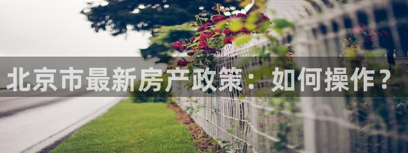 新宝5登录界面：北京市最新房产政策：如何操作？