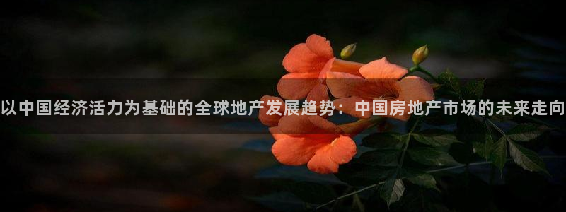 新宝5找找74OOO5：以中国经济活力为基础的全球地产发展趋
