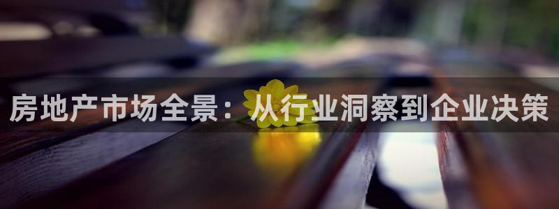 新宝5为啥开：房地产市场全景：从行业洞察到企业决策