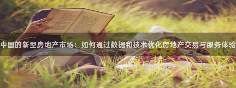 新宝5娱乐同：中国的新型房地产市场：如何通过数据和技术优化房