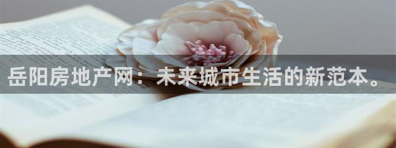 新宝5招商222111：岳阳房地产网：未来城市生活的新范本。