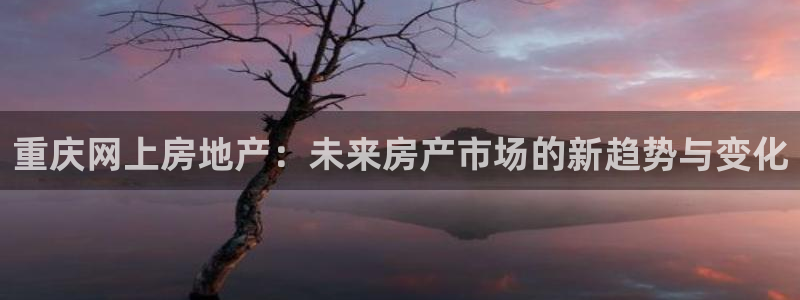 新宝5X：重庆网上房地产：未来房产市场的新趋势与变化