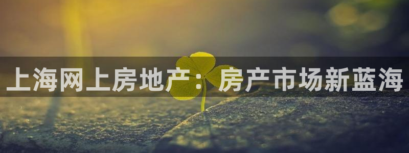 新宝3得74OO5：上海网上房地产：房产市场新蓝海