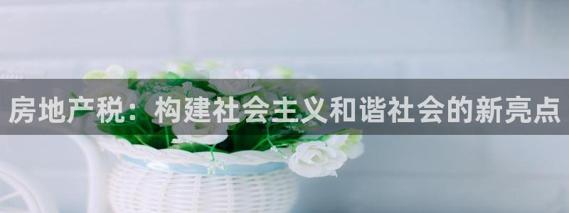 新宝5安卓版：房地产税：构建社会主义和谐社会的新亮点