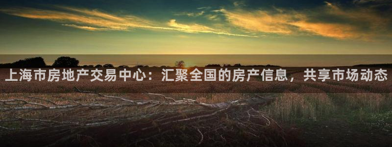 新宝5培训：上海市房地产交易中心：汇聚全国的房产信息，共享市