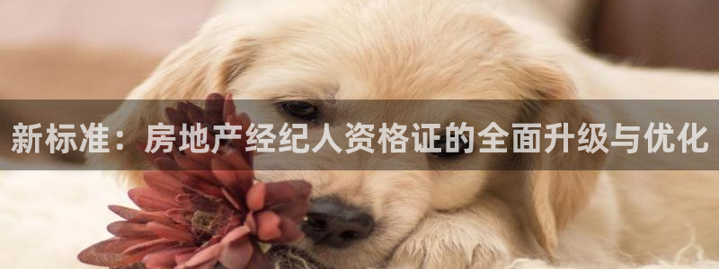 新宝5客户端登录：新标准：房地产经纪人资格证的全面升级与优化