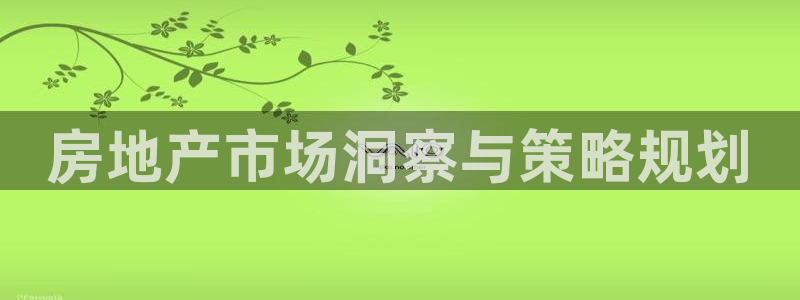 新宝5彩票是正规平台吗：房地产市场洞察与策略规划