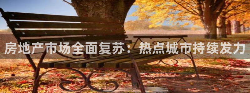 新宝5是谁的：房地产市场全面复苏：热点城市持续发力