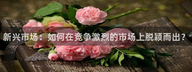 新宝5娱乐都：新兴市场：如何在竞争激烈的市场上脱颖而出？