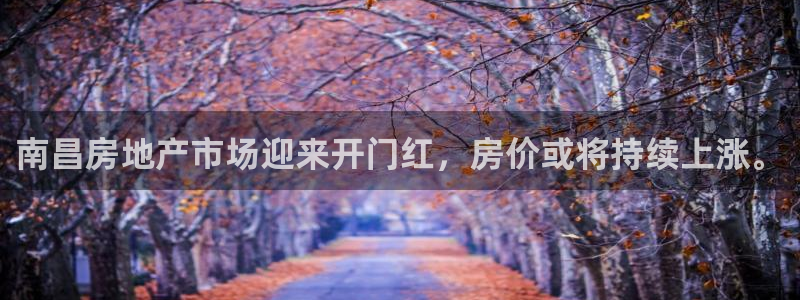 新宝5褚32OO59：南昌房地产市场迎来开门红，房价或将持续