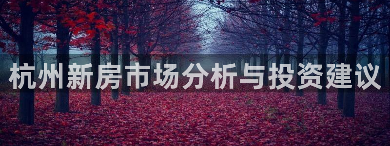 新宝5首页：杭州新房市场分析与投资建议