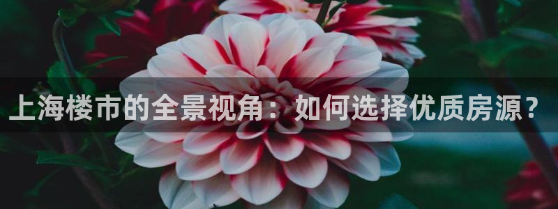 新宝5郑74OOO5：上海楼市的全景视角：如何选择优质房源？