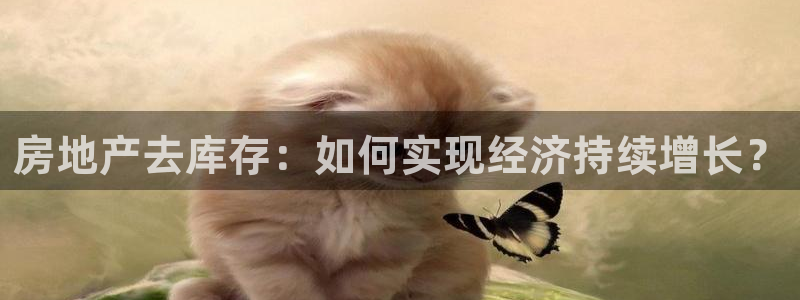 新宝5下载网址：房地产去库存：如何实现经济持续增长？