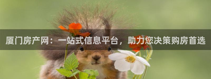 新宝5官方下载地址