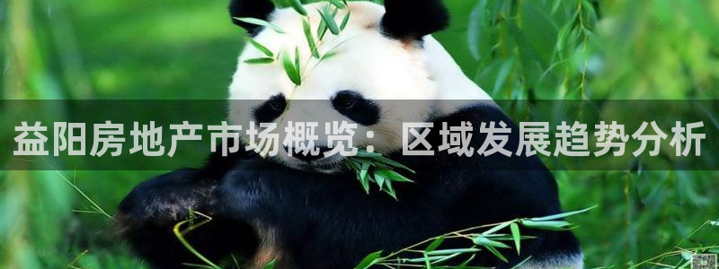 新宝5：益阳房地产市场概览：区域发展趋势分析