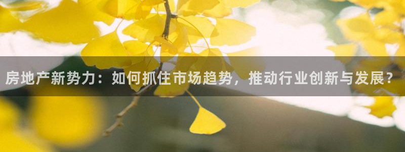 新宝5导师：房地产新势力：如何抓住市场趋势，推动行业创新与发