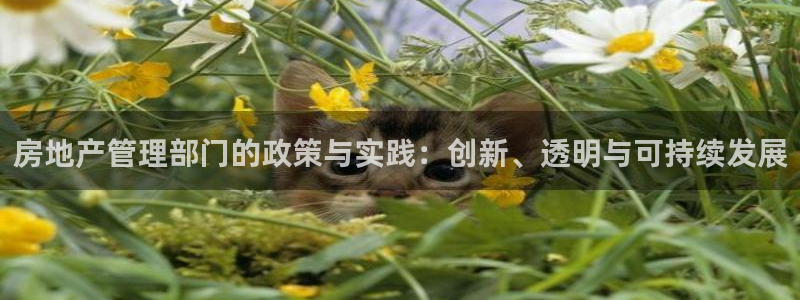 新宝股东张听2 5 5：房地产管理部门的政策与实践：创新、透