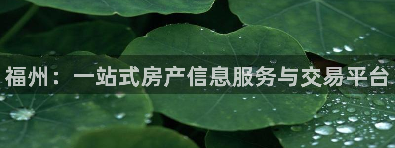 新5宝：福州：一站式房产信息服务与交易平台