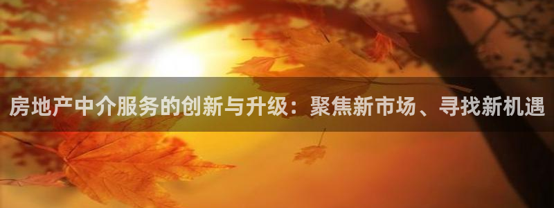 新宝5褚32OO59：房地产中介服务的创新与升级：聚焦新市场