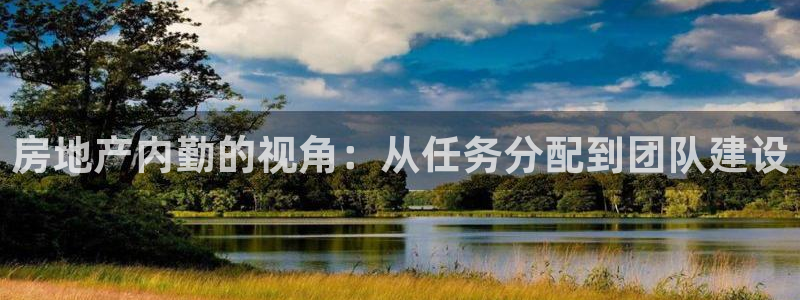 新宝5平台登录注册：房地产内勤的视角：从任务分配到团队建设