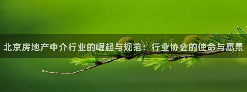 新宝5 - 测速登陆