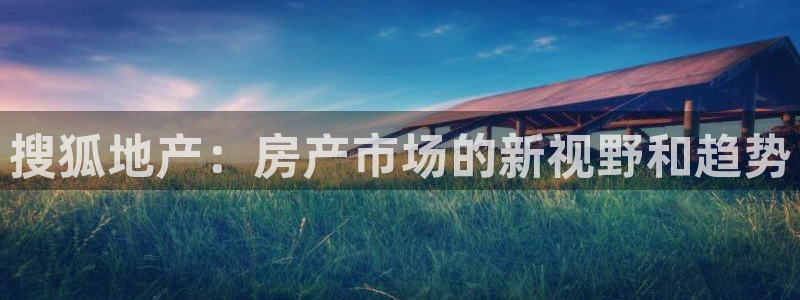 p5r新宝魔：搜狐地产：房产市场的新视野和趋势