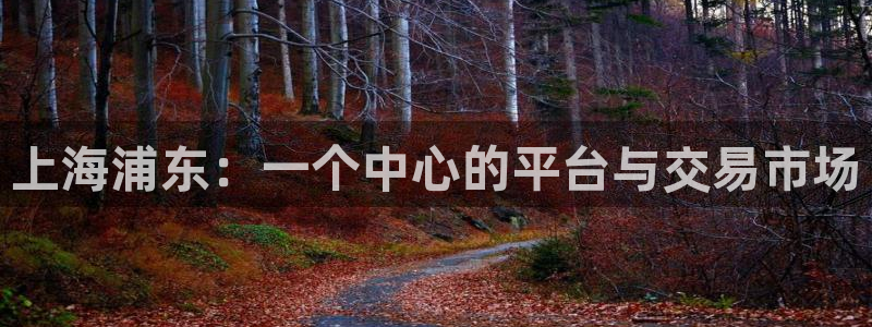 新宝5骗术：上海浦东：一个中心的平台与交易市场