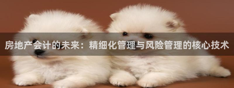 新宝5平台霸：房地产会计的未来：精细化管理与风险管理的核心技