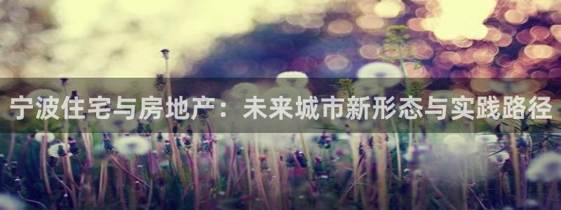新宝股东张听2 5 5：宁波住宅与房地产：未来城市新形态与实