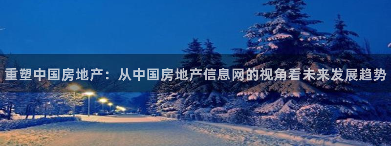 新宝5郑74OOO5：重塑中国房地产：从中国房地产信息网的视