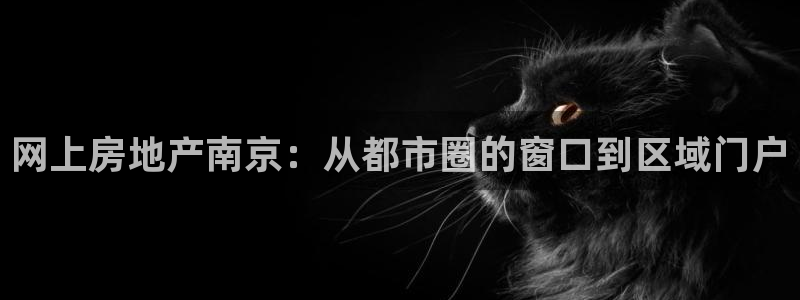 新宝5策略：网上房地产南京：从都市圈的窗口到区域门户