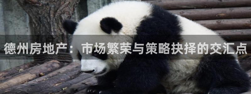 新宝5娱乐网址：德州房地产：市场繁荣与策略抉择的交汇点