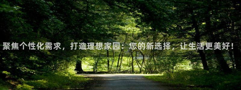 新宝娱乐5入口：聚焦个性化需求，打造理想家园：您的新选择，让