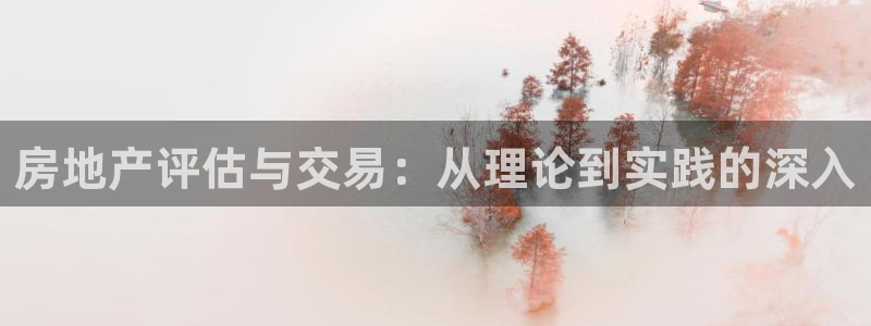 新宝5娱乐家：房地产评估与交易：从理论到实践的深入