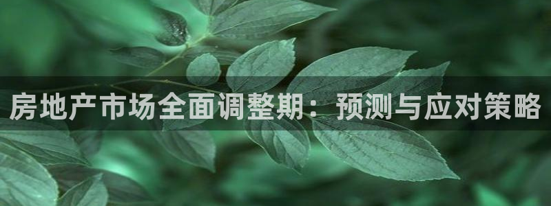 新宝5褚32OO59：房地产市场全面调整期：预测与应对策略